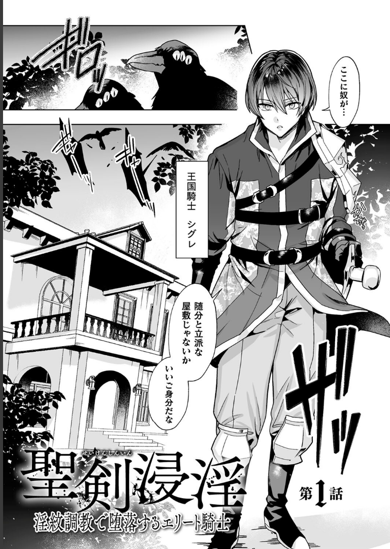 聖剣浸淫【単行本】【さいおがうま】