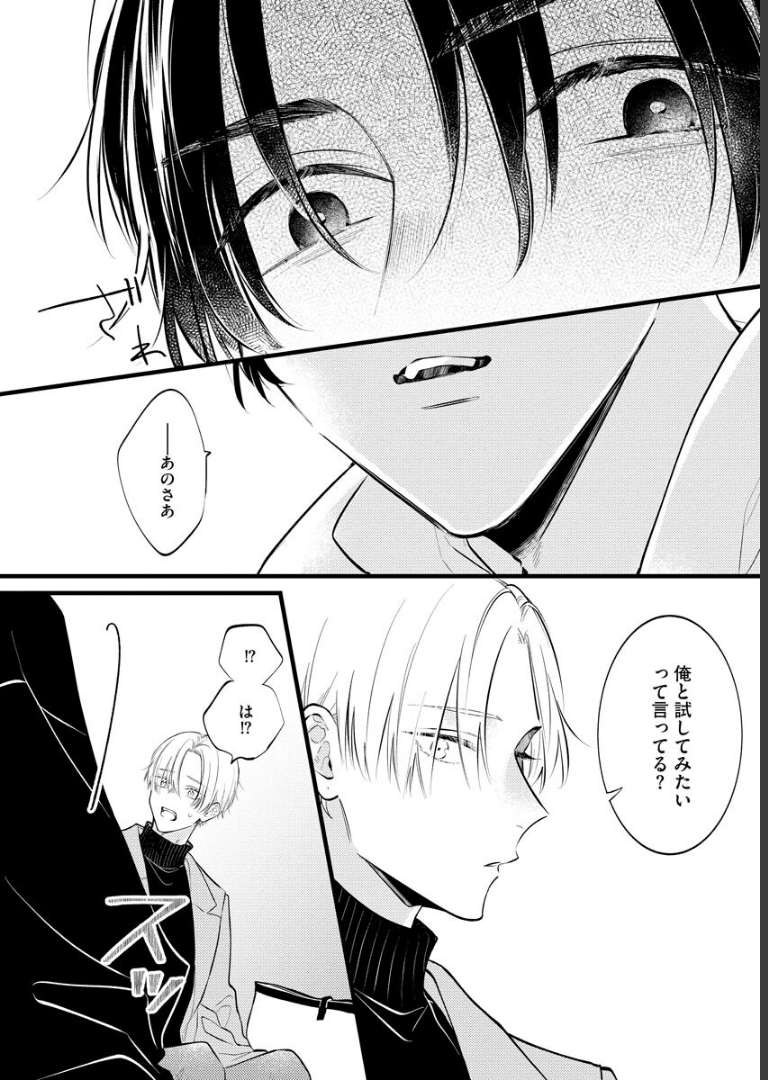 パーフェクトアディクション【電子限定かきおろし漫画2P付】 美山薫子