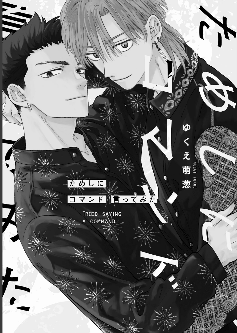 ためしにコマンド言ってみた 【電子限定かきおろし漫画付】ゆくえ萌葱