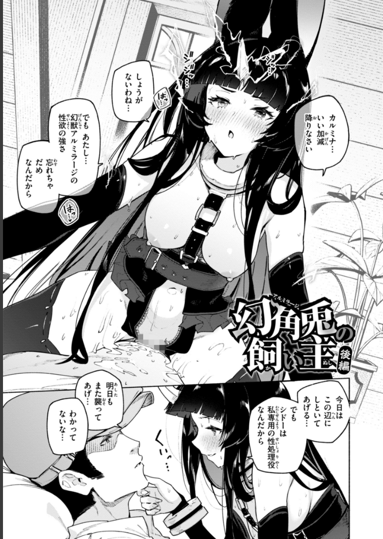 ヤリこみクロニクル〜異種族性交記〜【デジタル版限定おまけ付き】 Croriin