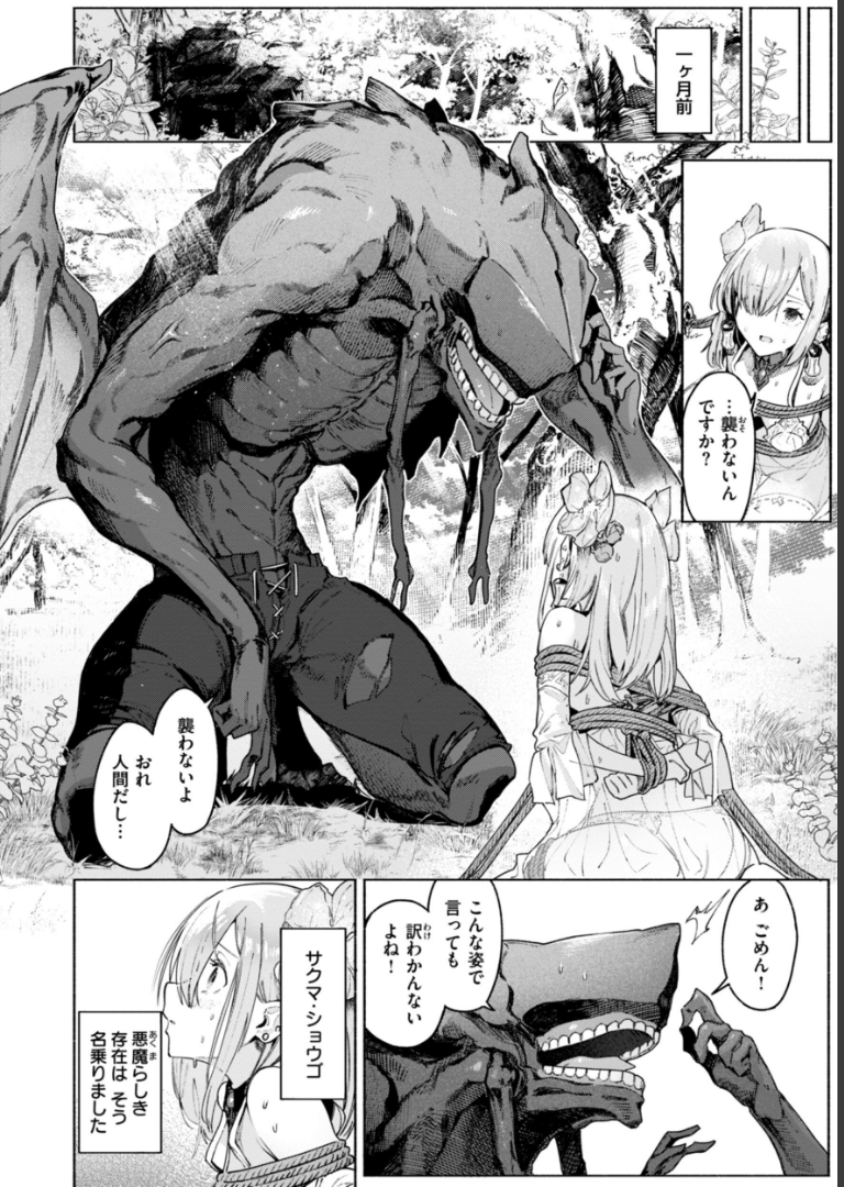 ヤリこみクロニクル〜異種族性交記〜【デジタル版限定おまけ付き】 Croriin